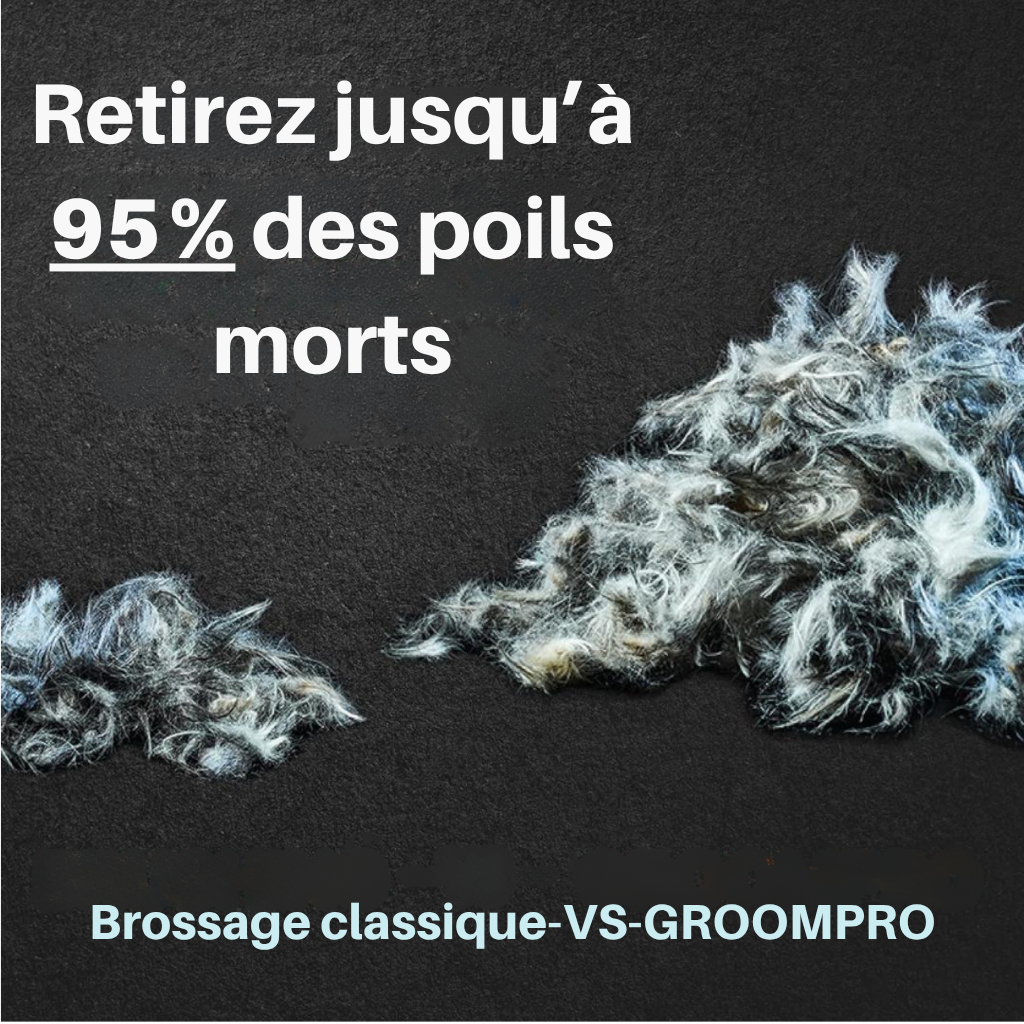 GroomPro - Pflegebürste