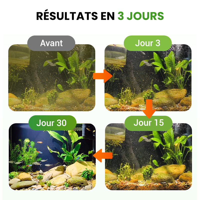 🌊500 g Premium-Teichpflegepulver | Wasserklärer & Algenbekämpfung🐟🌿