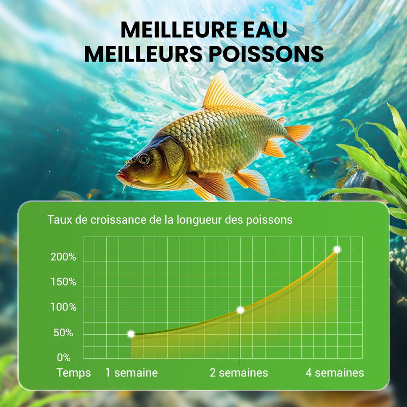 🌊500 g Premium-Teichpflegepulver | Wasserklärer & Algenbekämpfung🐟🌿