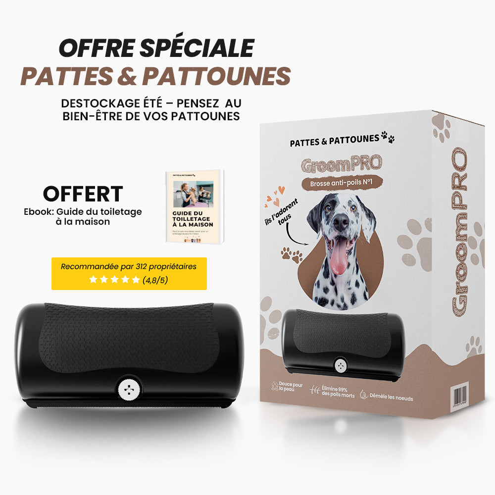 GroomPro - Pflegebürste