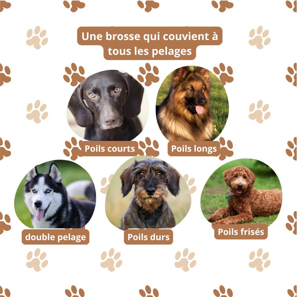 GroomPro - Pflegebürste