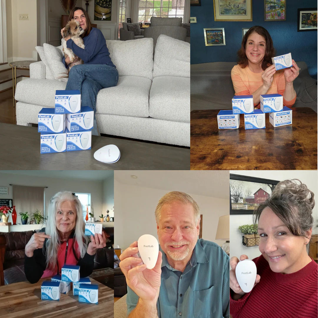 Pest Lab™ – Ultraschall-Schädlingsbekämpfer – 2 kaufen, 4 gratis erhalten