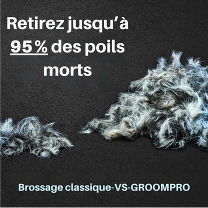 GroomPro - Pflegebürste