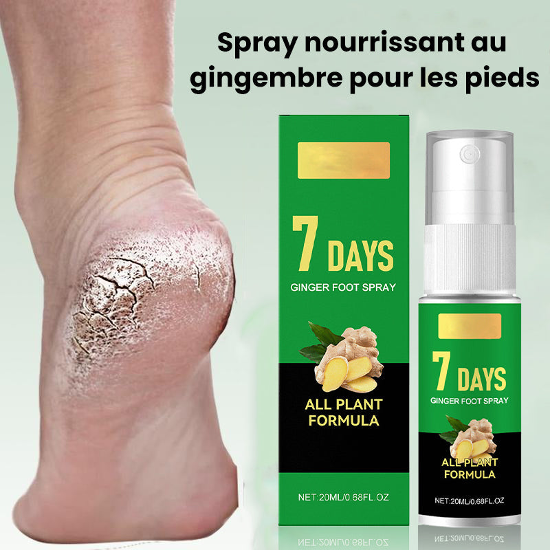 Hornhautentferner für Füße