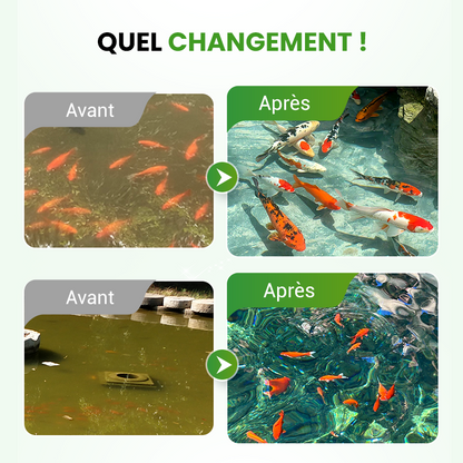 🌊500 g Premium-Teichpflegepulver | Wasserklärer &amp; Algenbekämpfung🐟🌿 