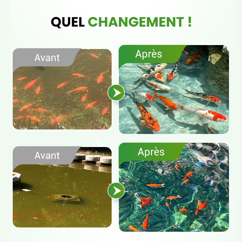 🌊500 g Premium-Teichpflegepulver | Wasserklärer &amp; Algenbekämpfung🐟🌿 