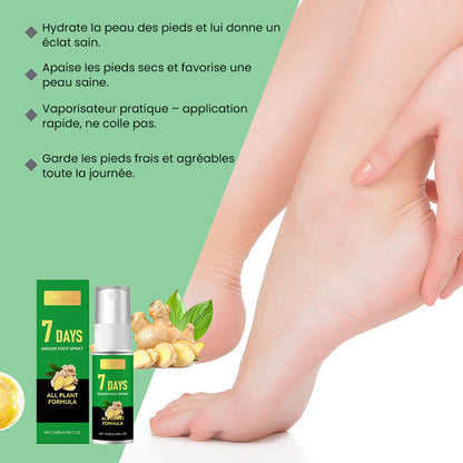 Hornhautentferner für Füße