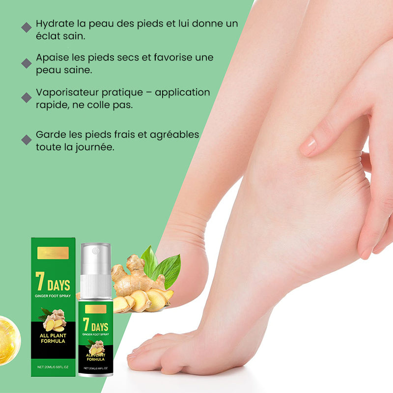 Hornhautentferner für Füße