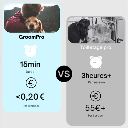 GroomPro - Pflegebürste