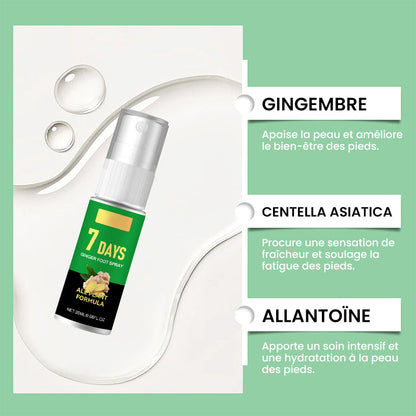 Hornhautentferner für Füße