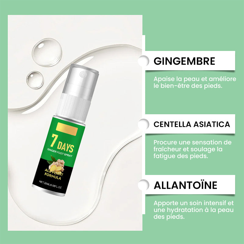 Hornhautentferner für Füße