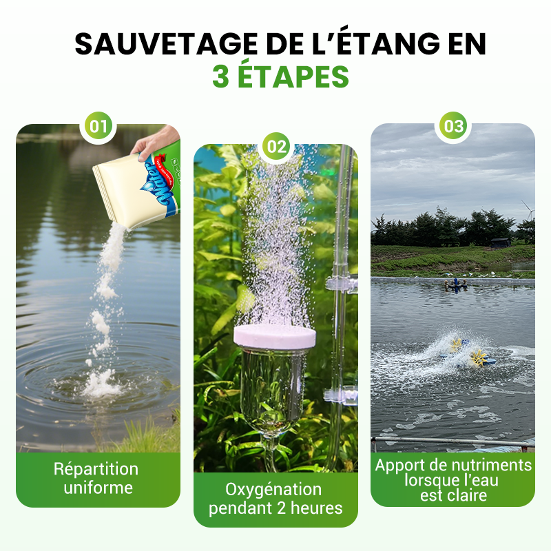 🌊500 g Premium-Teichpflegepulver | Wasserklärer &amp; Algenbekämpfung🐟🌿 