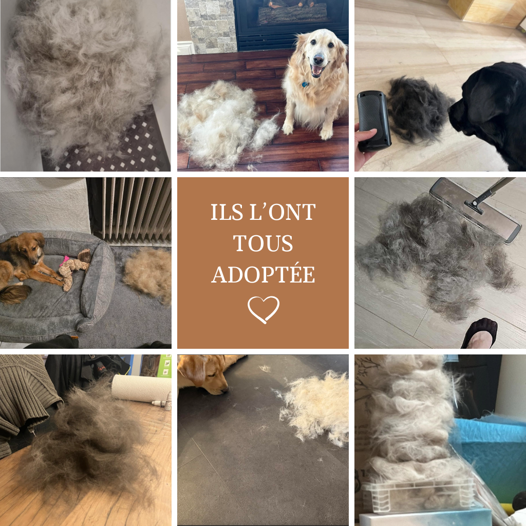 GroomPro - Pflegebürste