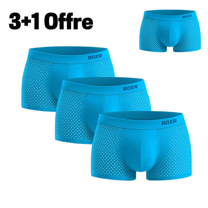 BOXR | Bambus-Boxershorts 2.0 – 3 kaufen, 1 gratis